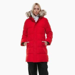 NWT Aritzia The Powder Parka